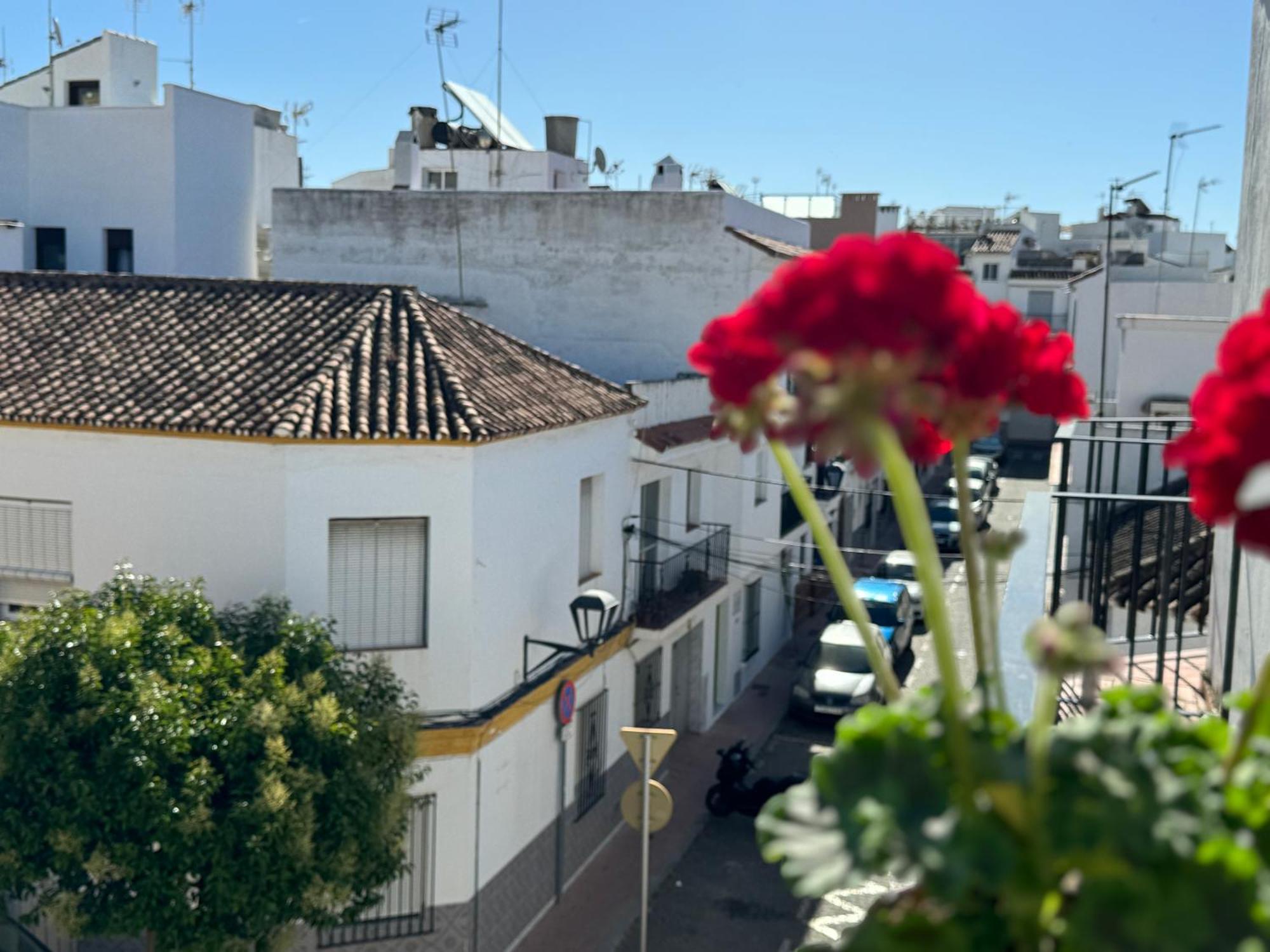Encantadora Casa En El Corazon De Estepona Dış mekan fotoğraf