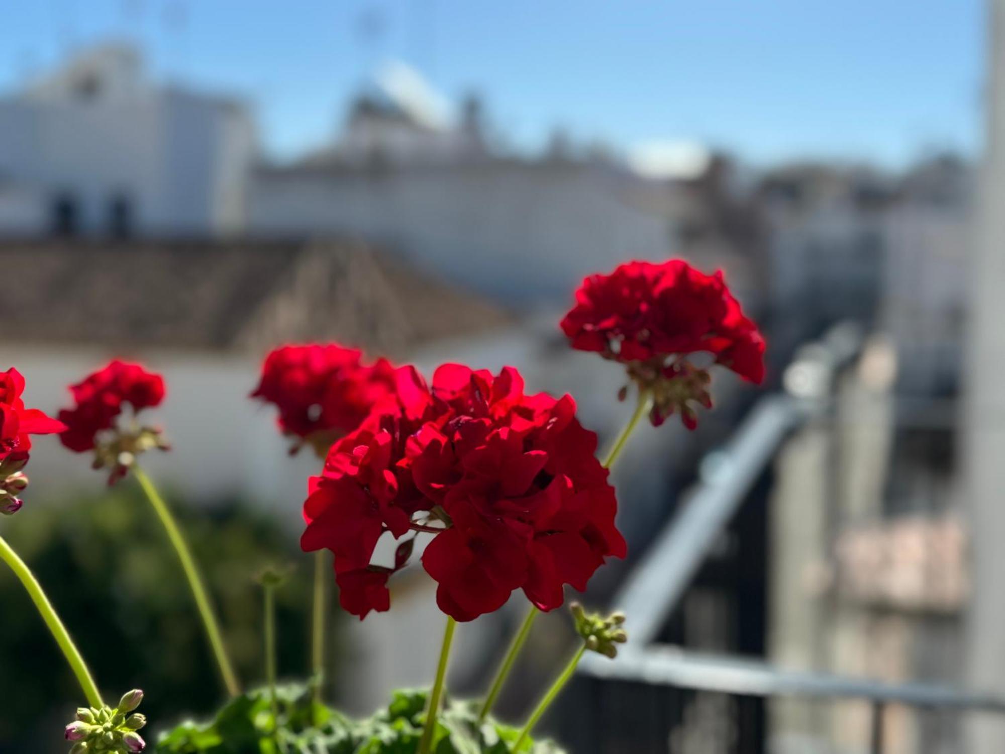 Encantadora Casa En El Corazon De Estepona Dış mekan fotoğraf
